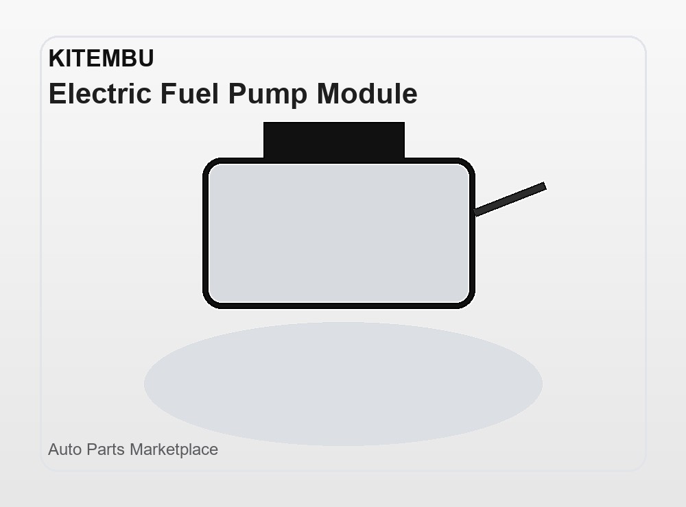 Electric Fuel Pump Module